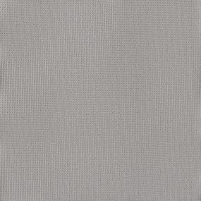 Pattern Frosty Morn Gray Carpet