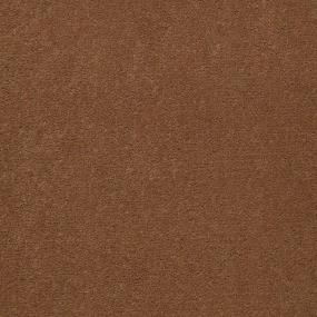 Cut Pile Cattails Brown Carpet