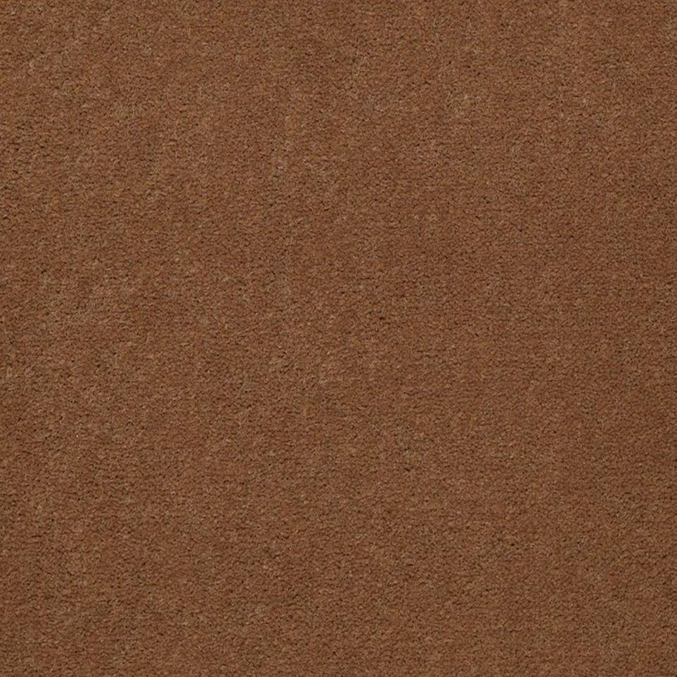 Cut Pile Cattails Brown Carpet