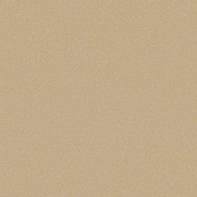 Textured Saxony Cornsilk Beige/Tan Carpet