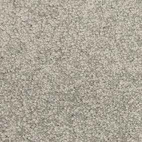 Texture Freeze Gray Carpet