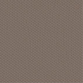Pattern Boardwalk Brown Carpet