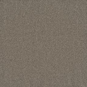 Textured Saxony Statement Beige/Tan Carpet