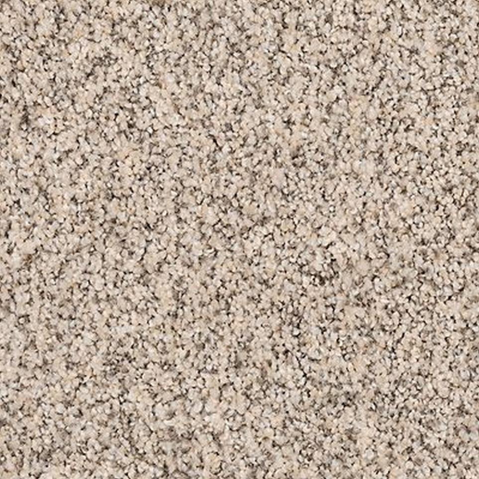 Textured Saxony Moonlit Ash Beige/Tan Carpet
