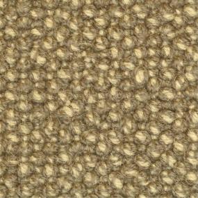 Loop Attraction Beige/Tan Carpet