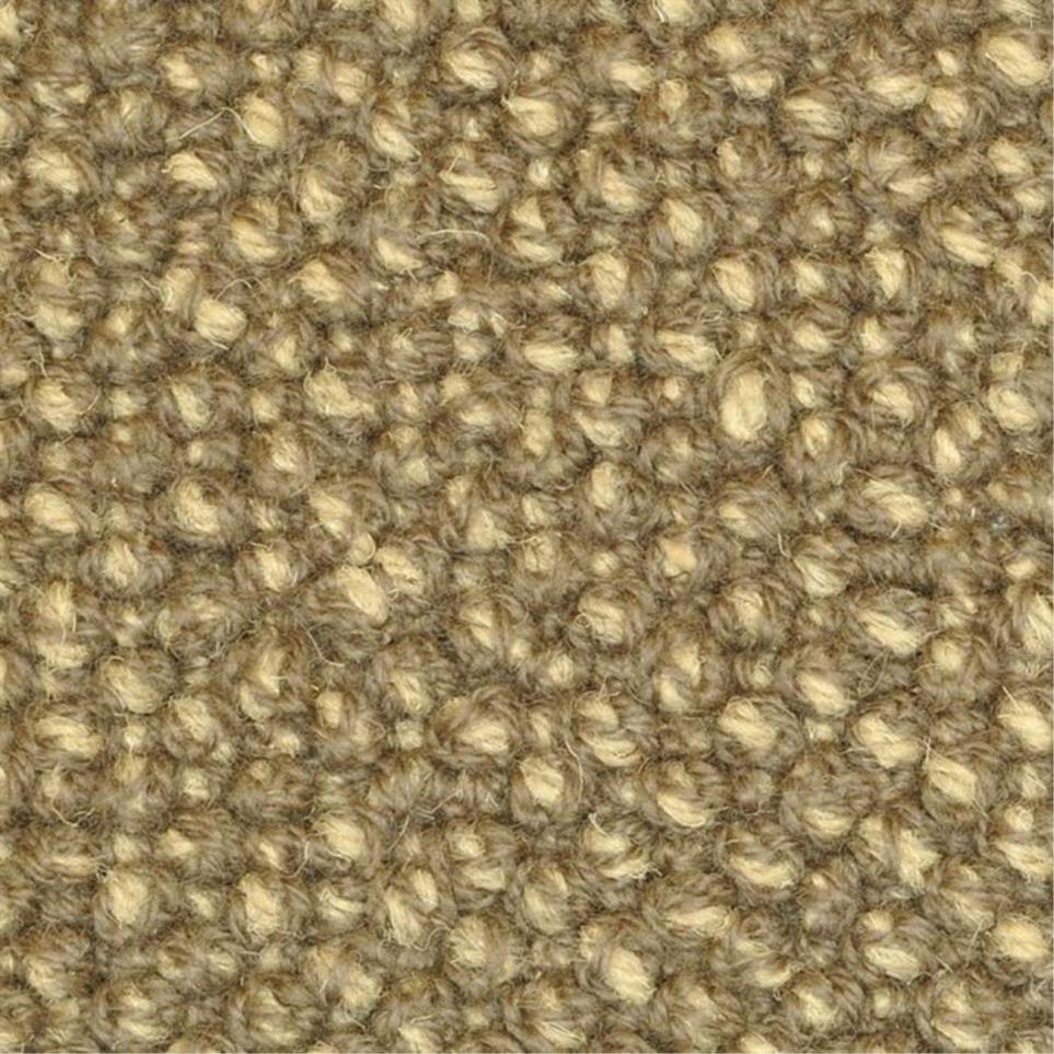 Loop Attraction Beige/Tan Carpet