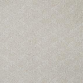 Pattern Insightful Beige/Tan Carpet