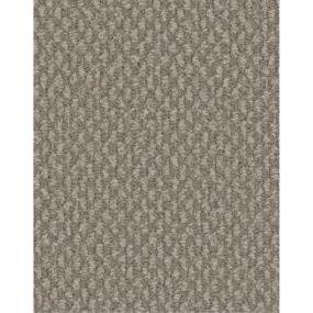 Loop Magnitude Brown Carpet