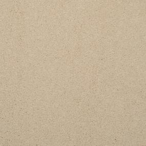 Casual Texture Lusta Beige/Tan Carpet
