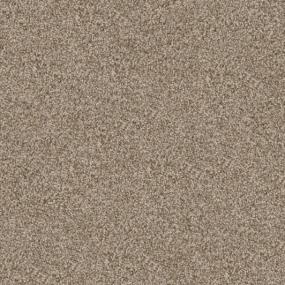 Textured Saxony Belcarra Beige/Tan Carpet