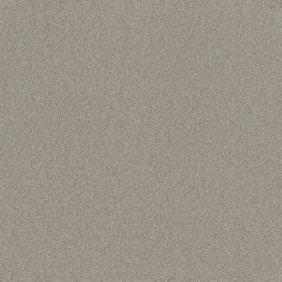 Textured Saxony Belcarra Beige/Tan Carpet