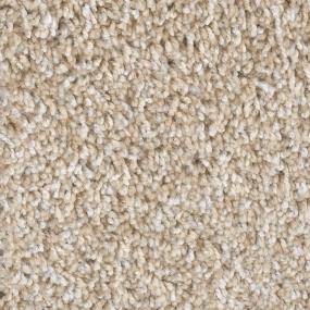 Textured Saxony Boardroom Beige/Tan Carpet