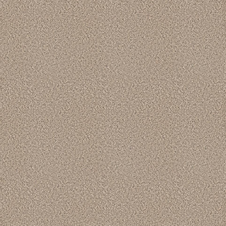 Texture Pebblerock Beige/Tan Carpet