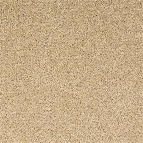 Textured Saxony The Gold Beige/Tan Carpet