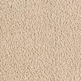 Cut Pile Winter Oak Beige/Tan Carpet