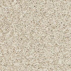 Textured Saxony Haven Brown Carpet