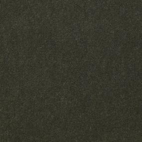 Cut Pile Apple Green Carpet