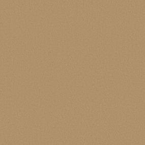 Texture Carmella Beige/Tan Carpet