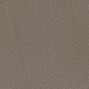 Textured Saxony Thoroughbred Brown Carpet