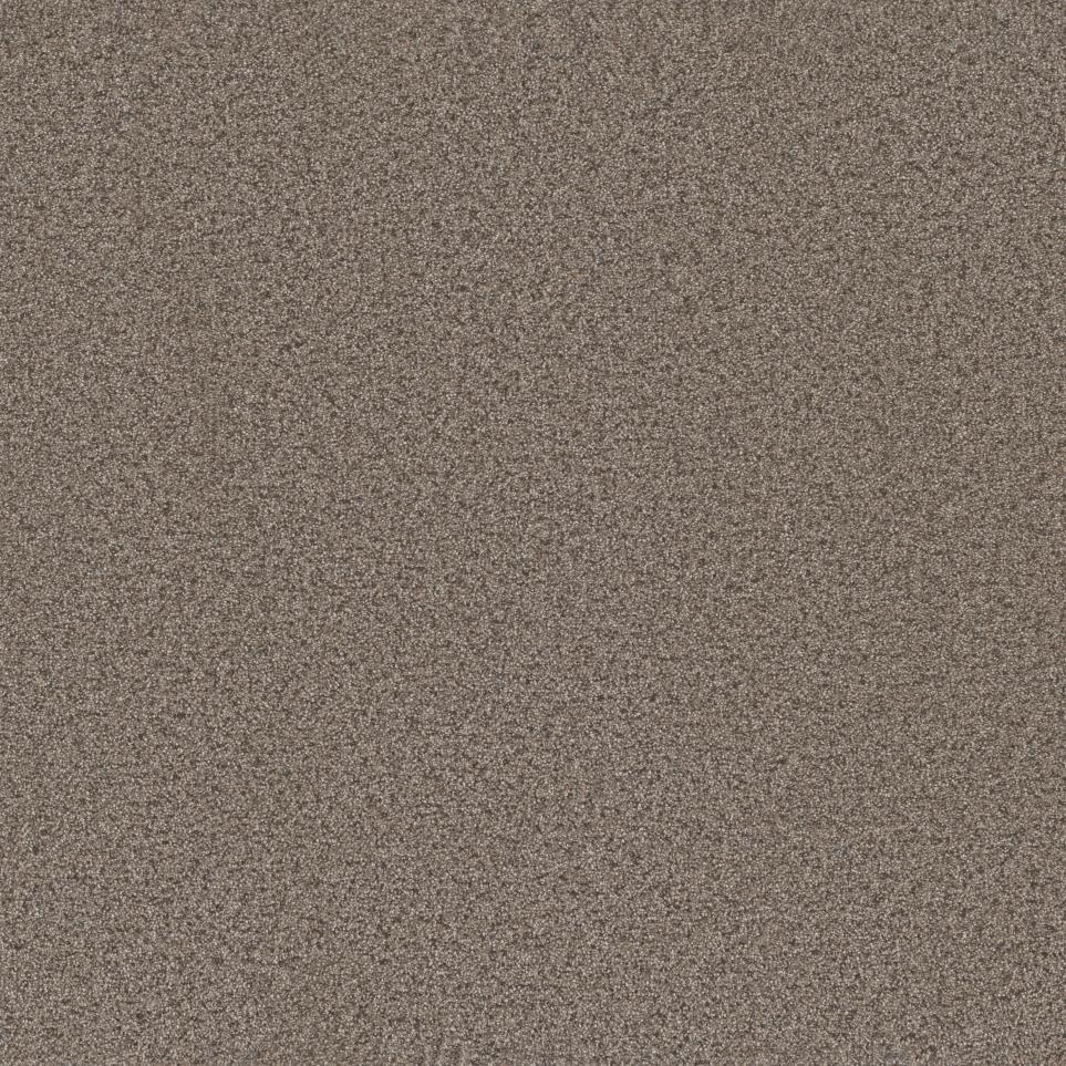 Textured Saxony Thoroughbred Brown Carpet