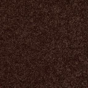 Textured Saxony Espresso Brown Carpet