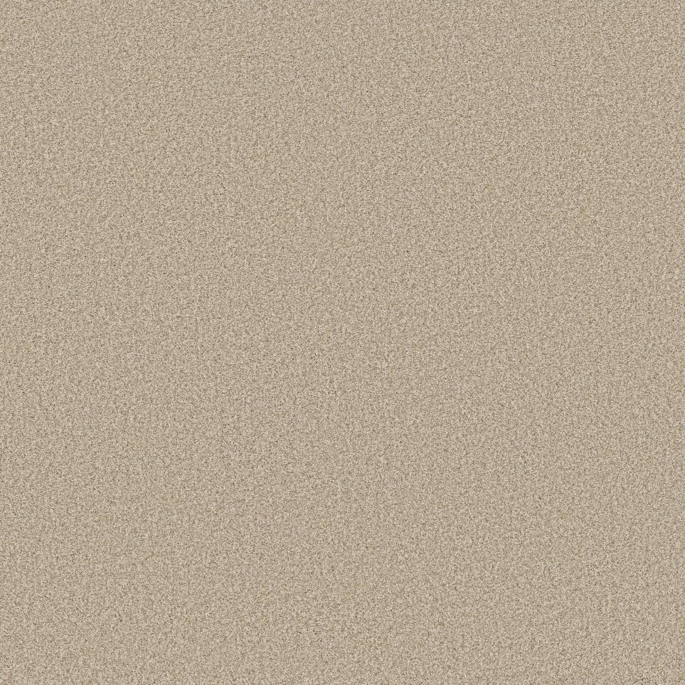 Texture Carlton Beige/Tan Carpet