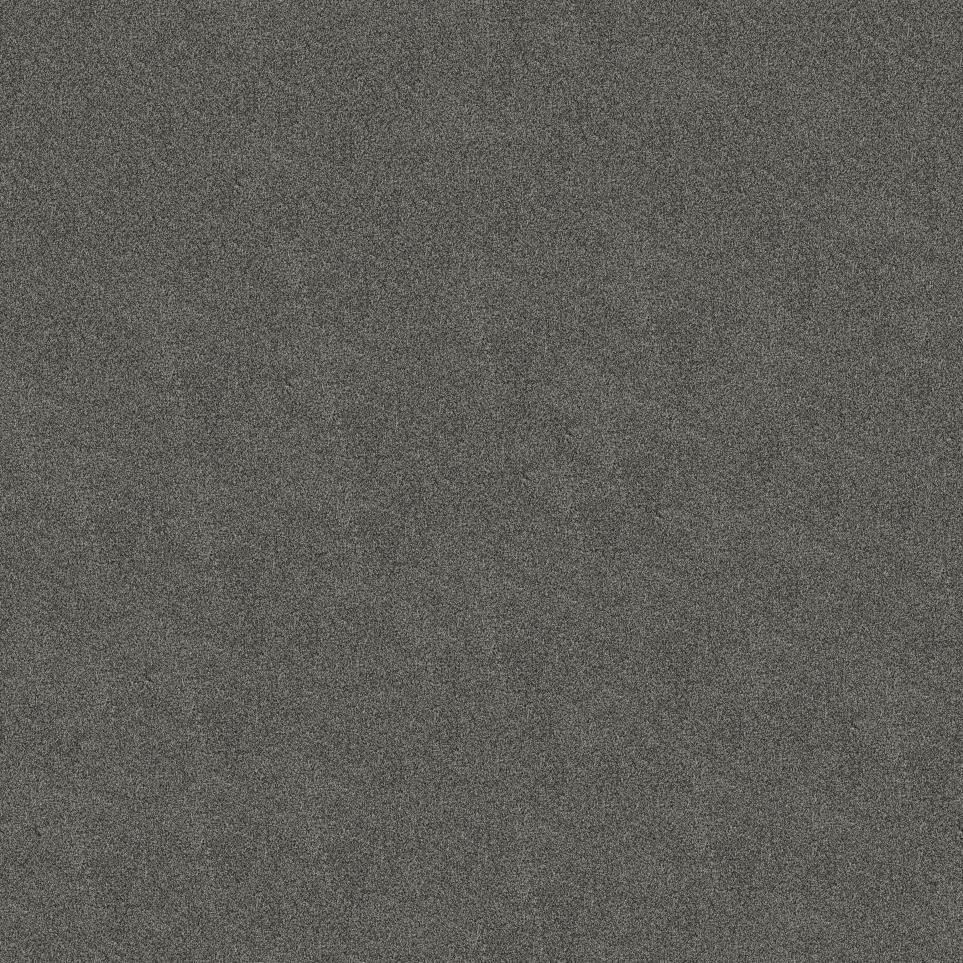 Plush Flannel Gray Carpet