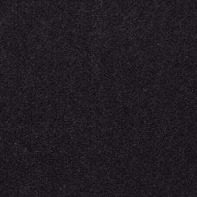 Cut Pile Wild Plum Blue Carpet