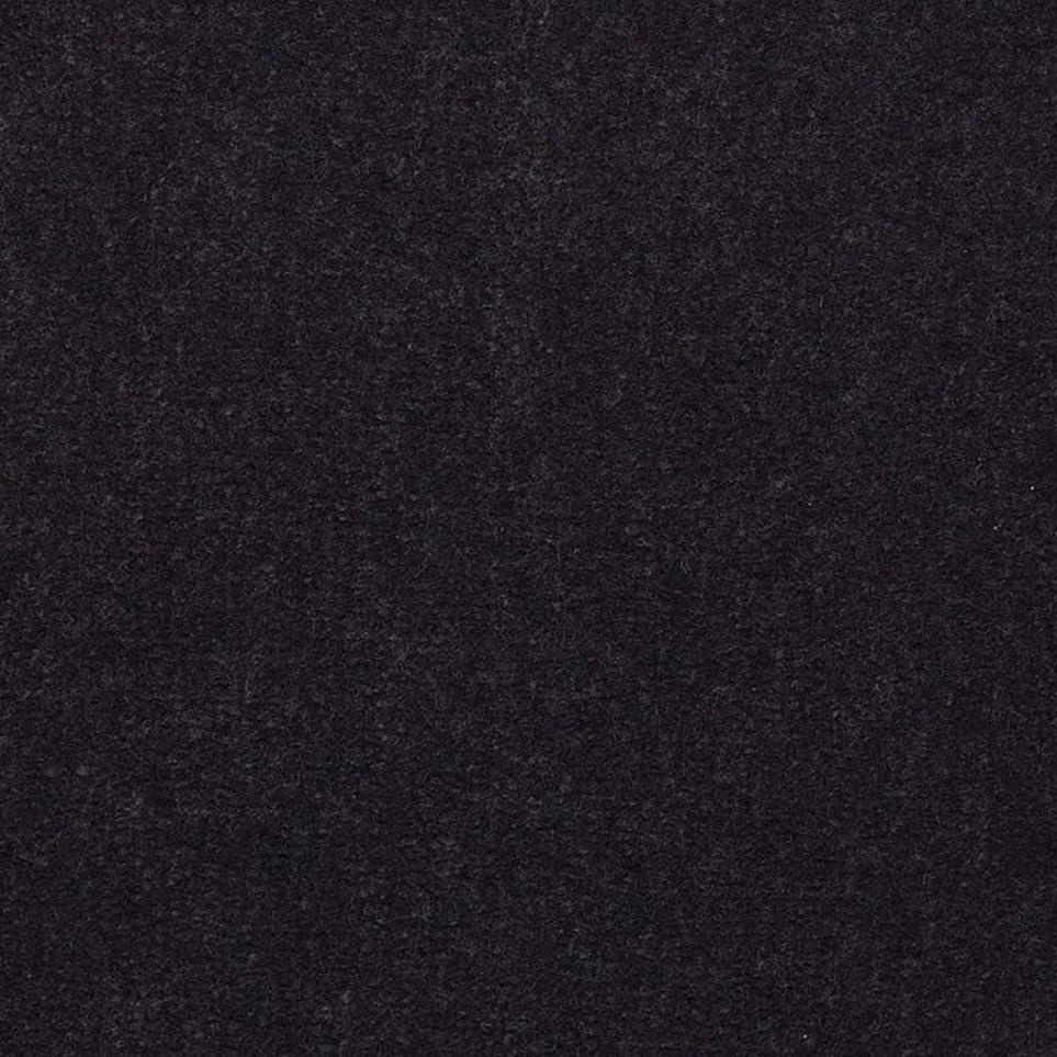 Cut Pile Wild Plum Blue Carpet