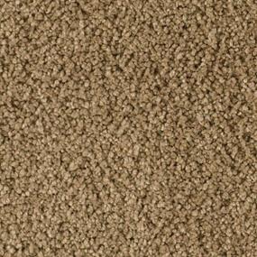 Textured Saxony Peyote Brown Carpet