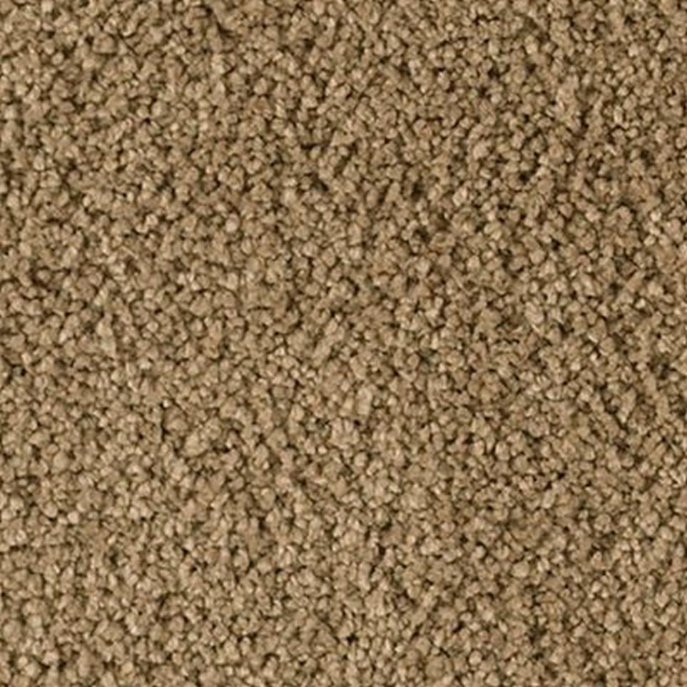 Textured Saxony Peyote Brown Carpet