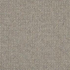 Loop Fossil Beige/Tan Carpet