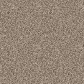 Textured Saxony Feather Beige/Tan Carpet