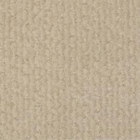 Pattern Par Beige/Tan Carpet
