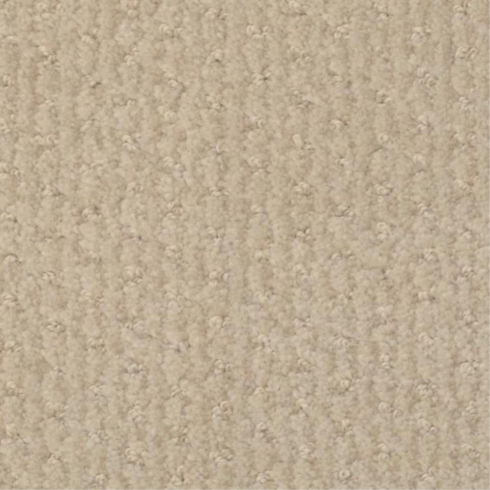 Pattern Par Beige/Tan Carpet