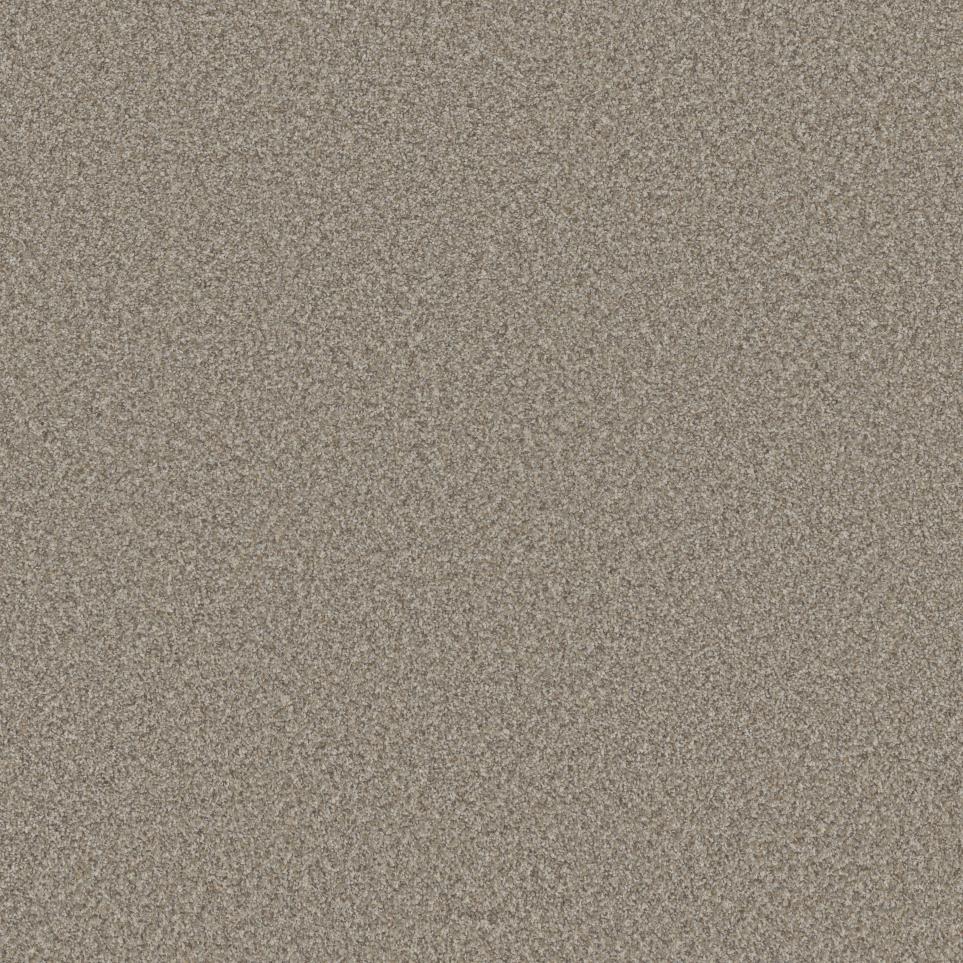 Texture Chateau Beige/Tan Carpet