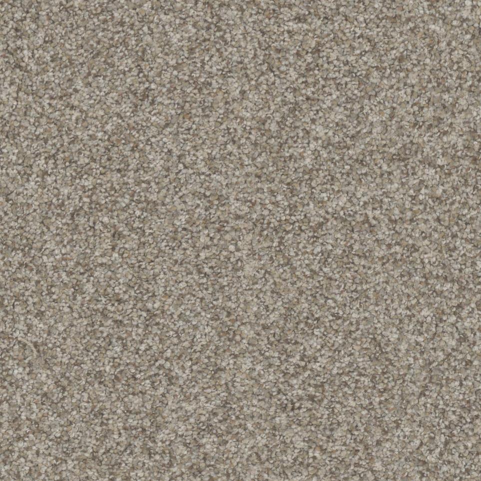 Texture Chateau Beige/Tan Carpet