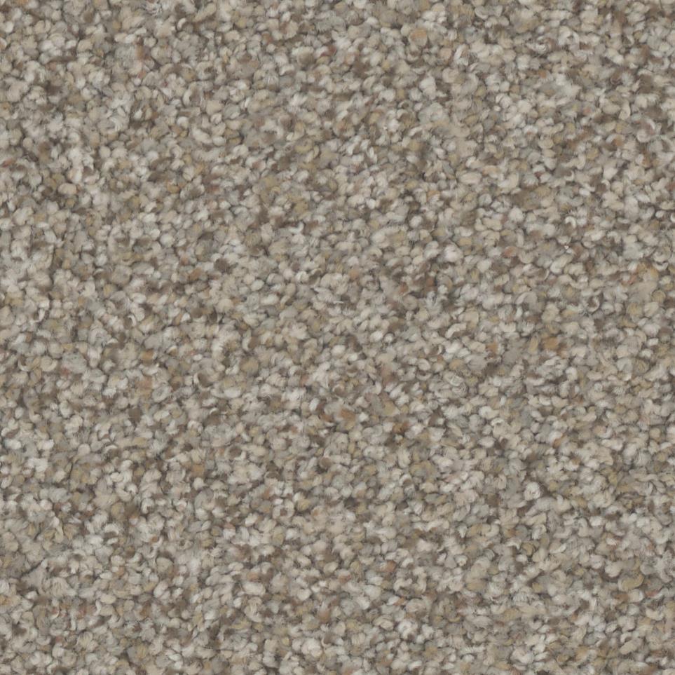 Texture Chateau Beige/Tan Carpet