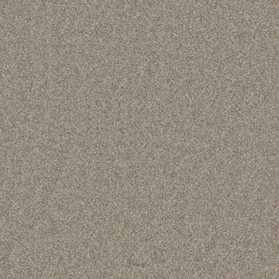 Texture Chateau Beige/Tan Carpet