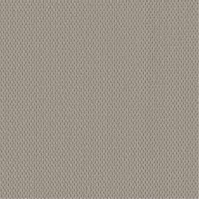 Berber Muslin Beige/Tan Carpet