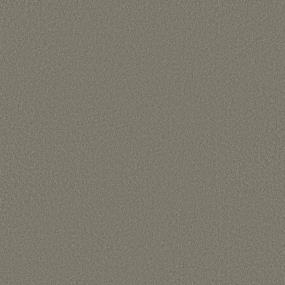 Texture Tumbleweed Brown Carpet