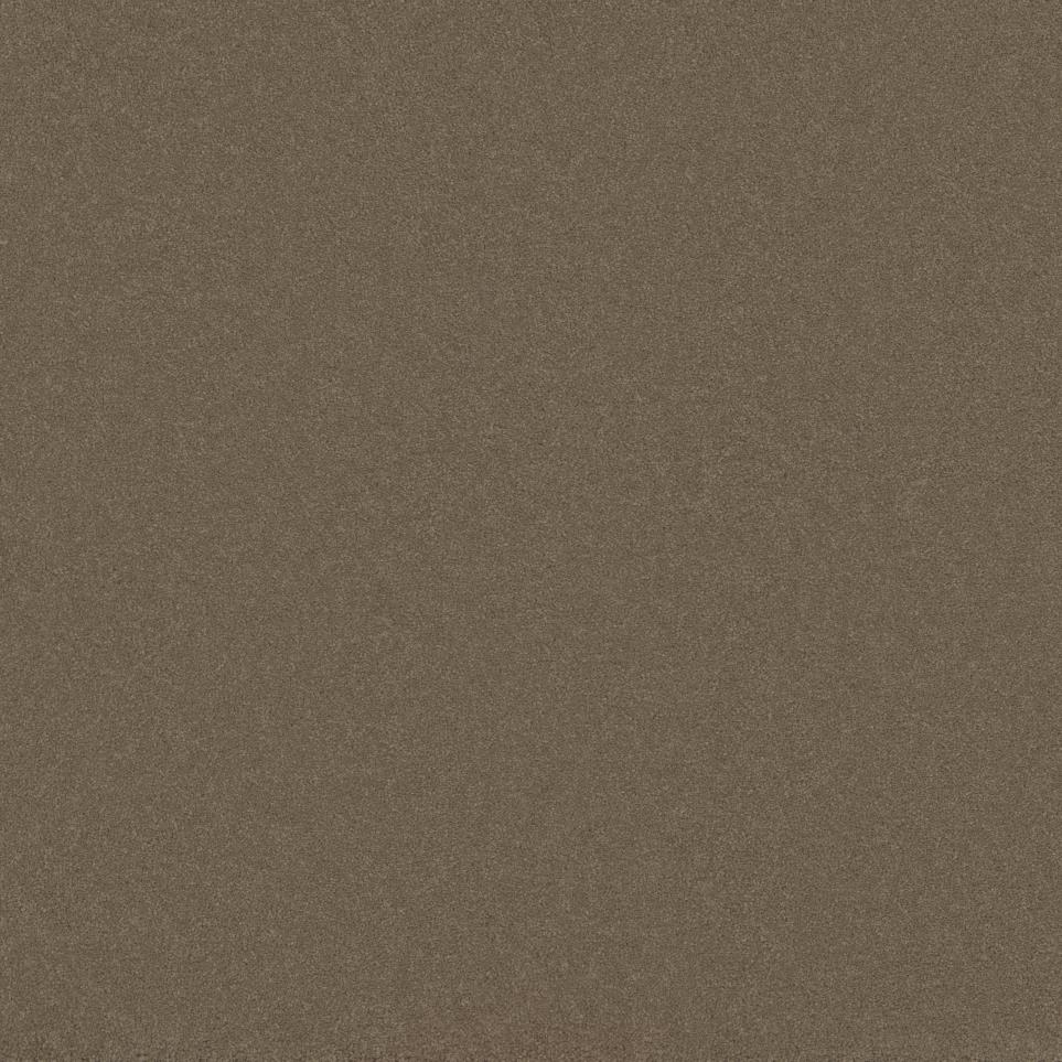 Textured Saxony Flax Seed Beige/Tan Carpet
