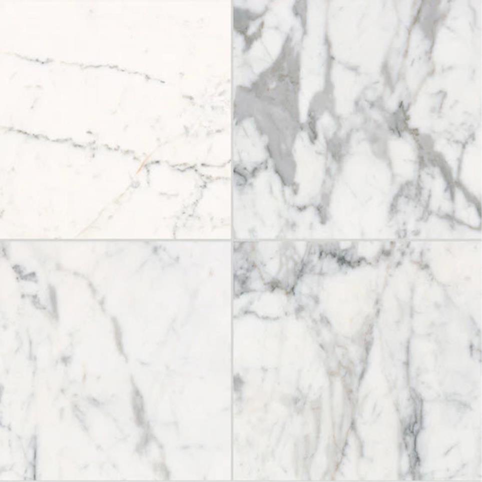 Tile Statuario Polished White Tile