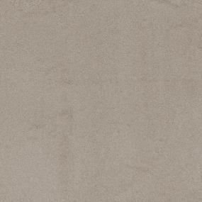 Textured Saxony Solarium Beige/Tan Carpet