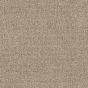 Pattern Joyous Beige/Tan Carpet