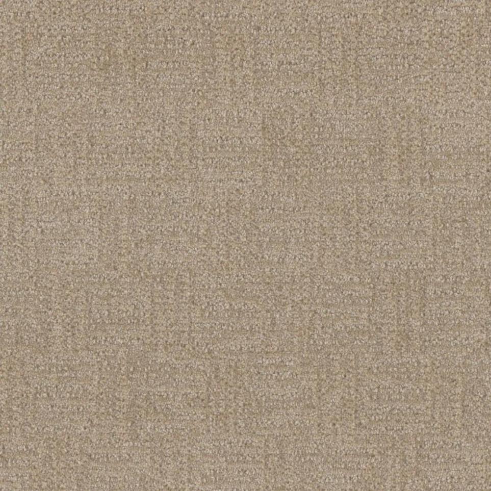 Pattern Joyous Beige/Tan Carpet