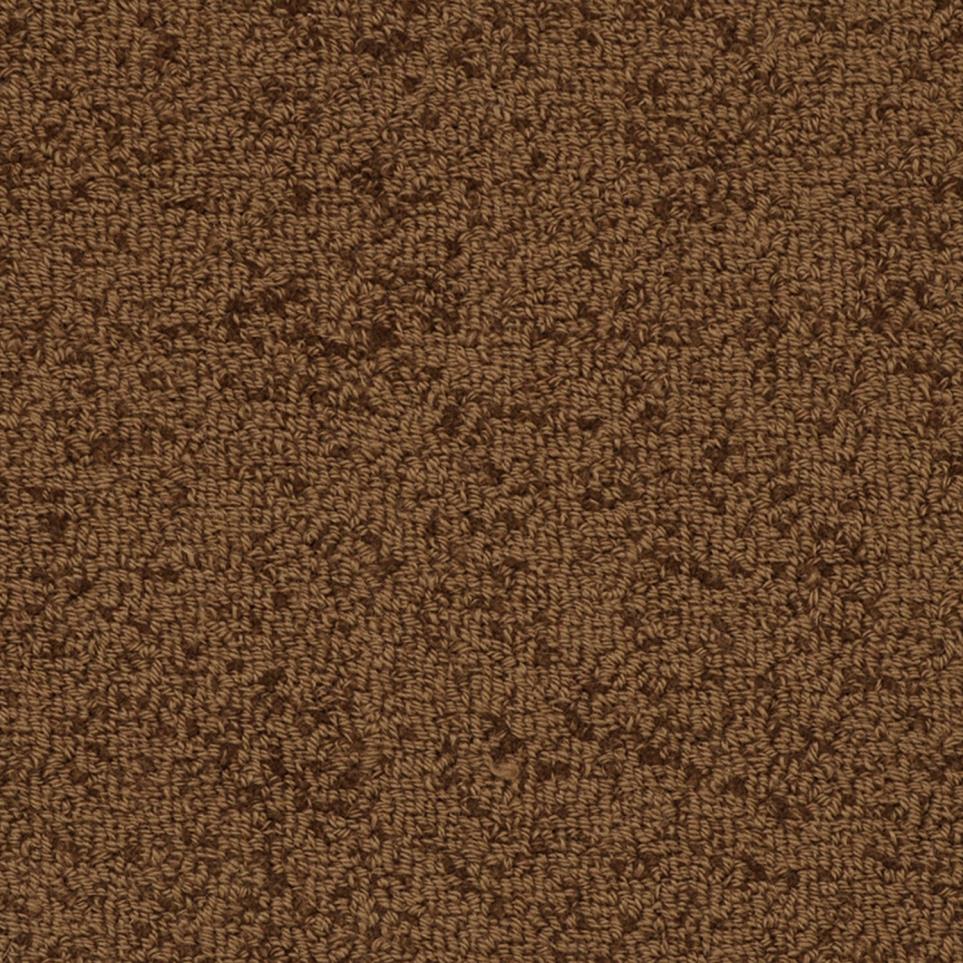 Loop Outback Brown Carpet