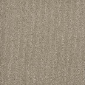 Pattern Perfection Brown Carpet