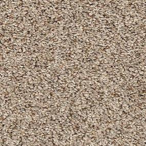 Texture Collective Brown Carpet