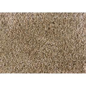 Casual Texture Sand Beige/Tan Carpet